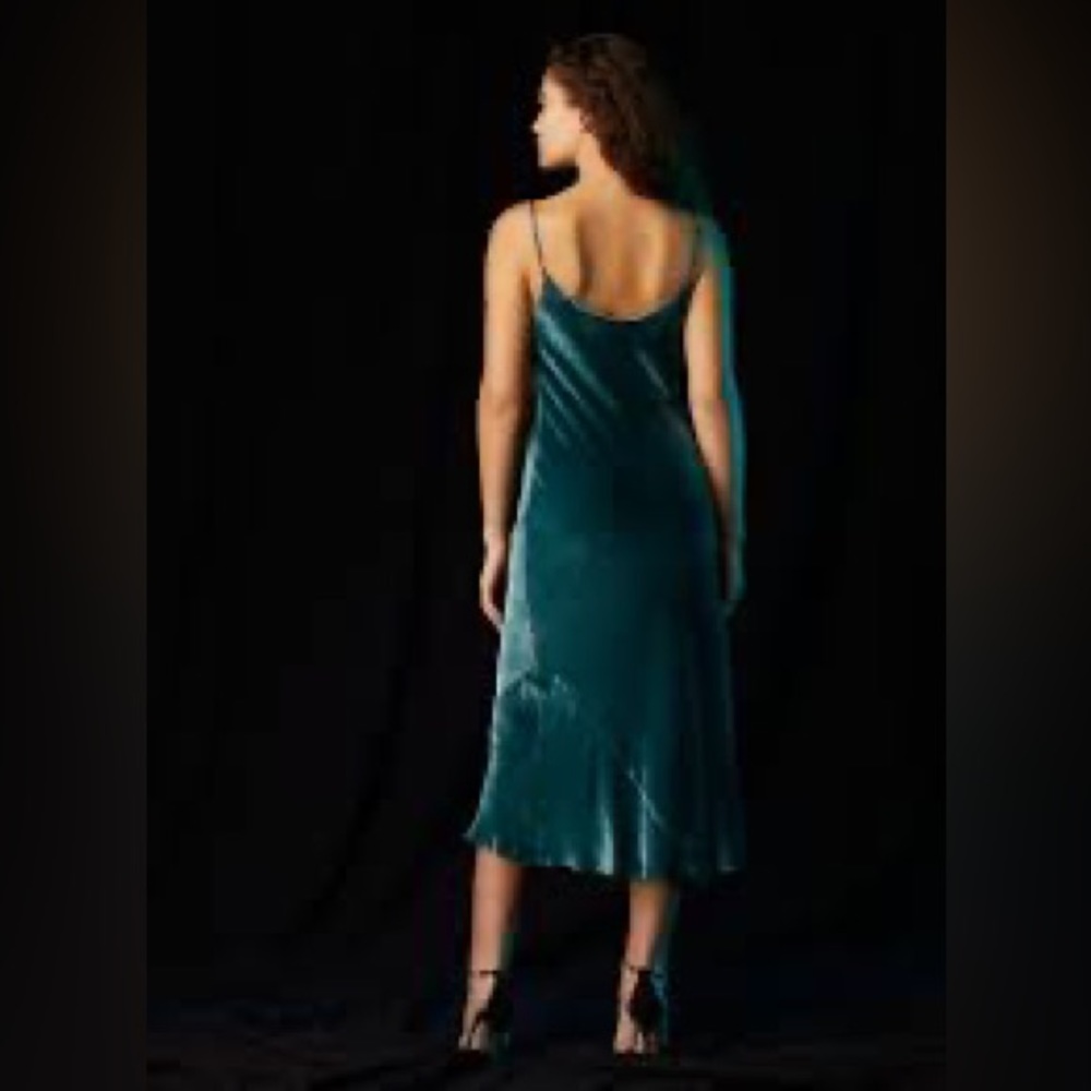 Aritzia Practical Magic 90s Style Velvet Wilfred Canto Dress XXS XS - Picture 2 of 9